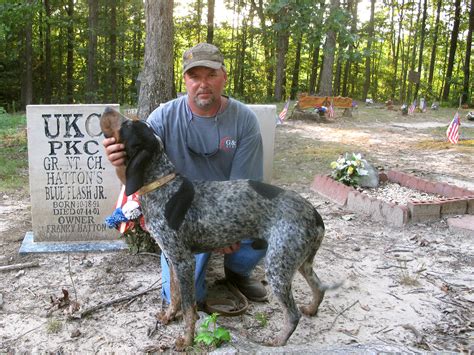 A Resting Place For Hunting Hounds In Alabama | NCPR News