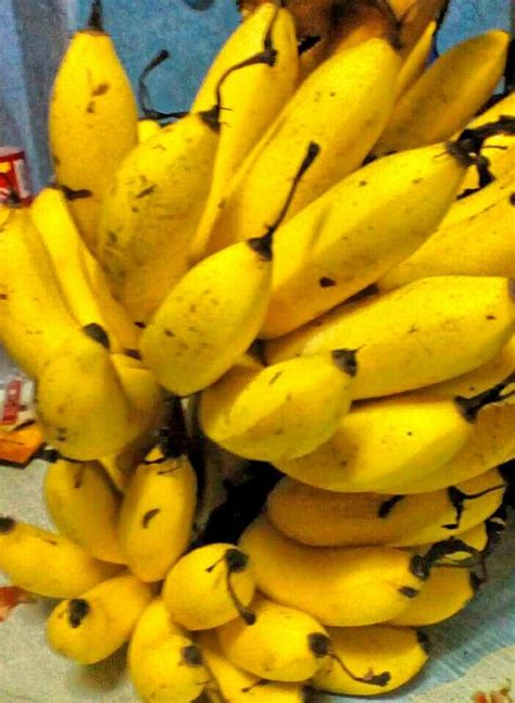 Latundan Banana - Kay Fruit