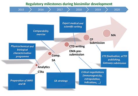 Biosimilars - What are the critical regulatory milestones during development and registration ...