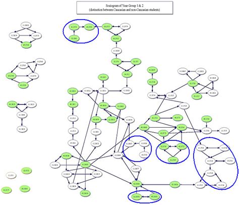 Classroom Sociogram