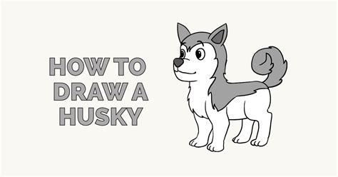 How to Draw a Husky - Really Easy Drawing Tutorial | Dog drawing, Dog drawing tutorial, Dog ...