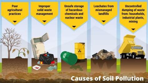 Soil Pollution Notes: Meaning, Causes, Effects & Prevention Steps