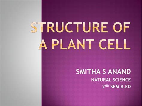 Department Of Botany Armoor Plant Cell Structure - vrogue.co