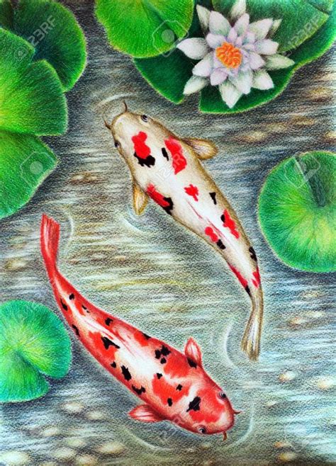 Original painting colored pencils. Beautiful Koi fish. Modern art. Stock Photo - 87102898 | Koi ...