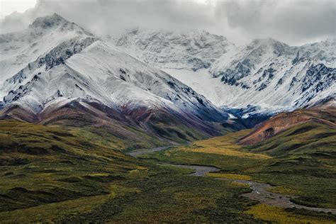 Denali National Park [4608x3072] : r/NationalParkPorn