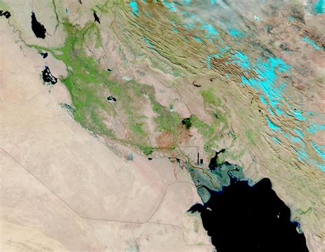 Ancient Farmers of the Fertile Crescent: A Revolutionary Discovery