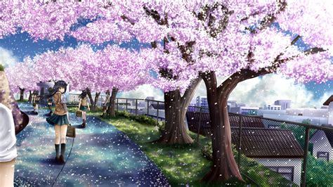 Anime Cherry Blossom Desktop Wallpaper | PixelsTalk.Net