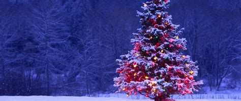 Download 2560x1080 Wallpaper Christmas Tree Lights Snow Forest Holiday, Dual Wide, Widescreen ...