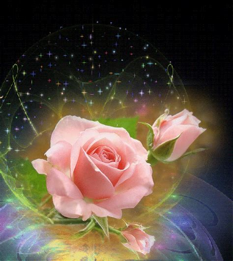 Pin von Rose Johns auf Animated Flowers | Schöne blumen, Blumen fotografie, Schöne rose