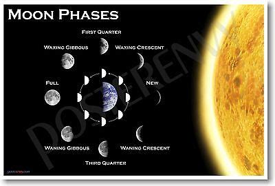 Moon Phases - NEW EDUCATIONAL TEACHER CLASSROOM SCIENCE SPACE ASTRONOMY POSTER 799491502925 | eBay