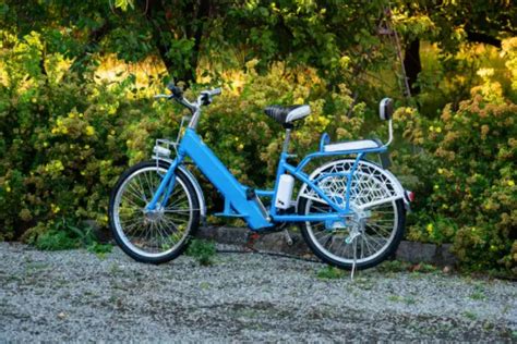 2-Seater Electric Bikes - Everything you need to know - Bike Lovy