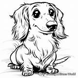 Dachshund Coloring Pages  Free & Printable sketch template