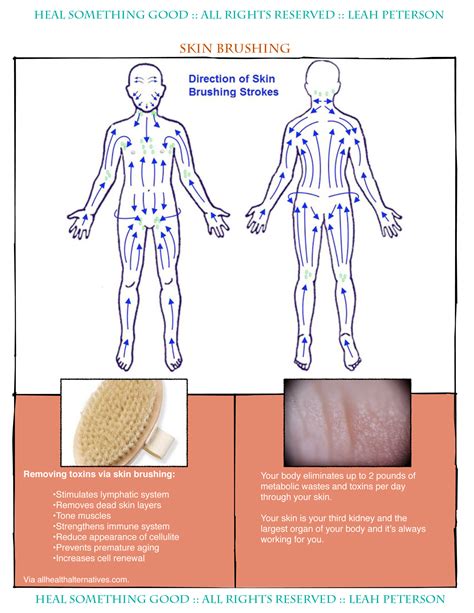 Chart – Skin Brushing Technique – Heal Something Good