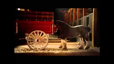 Budweiser Commercials With Clydesdales - Image to u