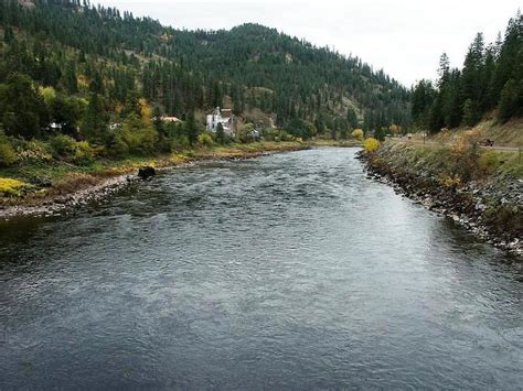 Clearwater River (Idaho) - Alchetron, the free social encyclopedia