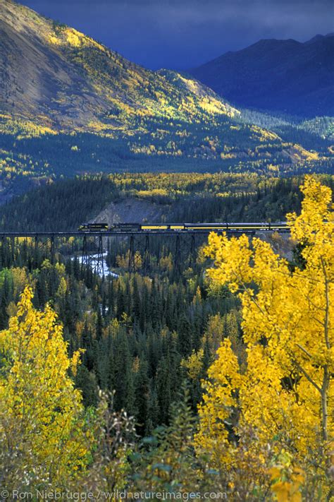 Alaska Railroad | Alaska | Photos by Ron Niebrugge