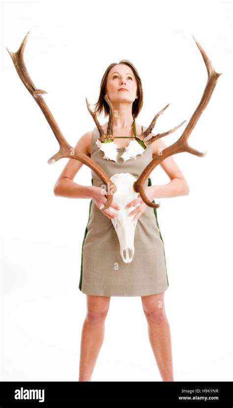 Antlers cutout hi-res stock photography and images - Alamy