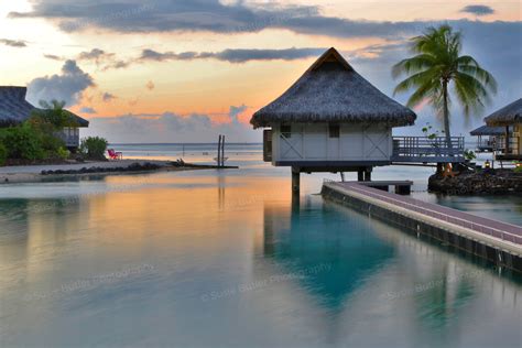 Moorea Overwater Bungalow Photo Print - Susie Butler