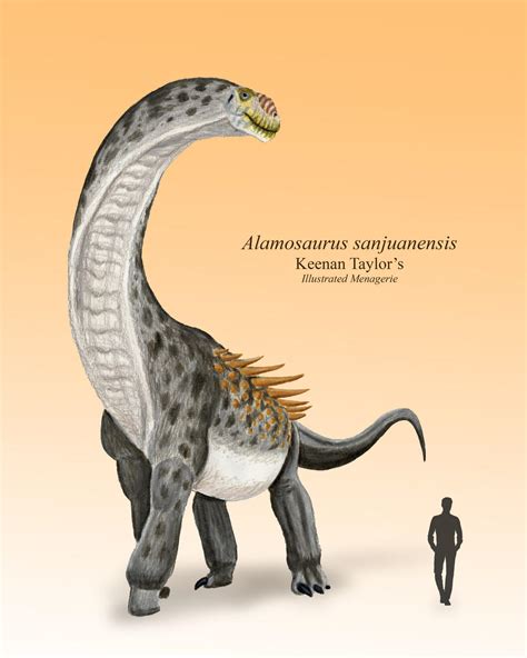 Alamosaurus by IllustratedMenagerie on DeviantArt