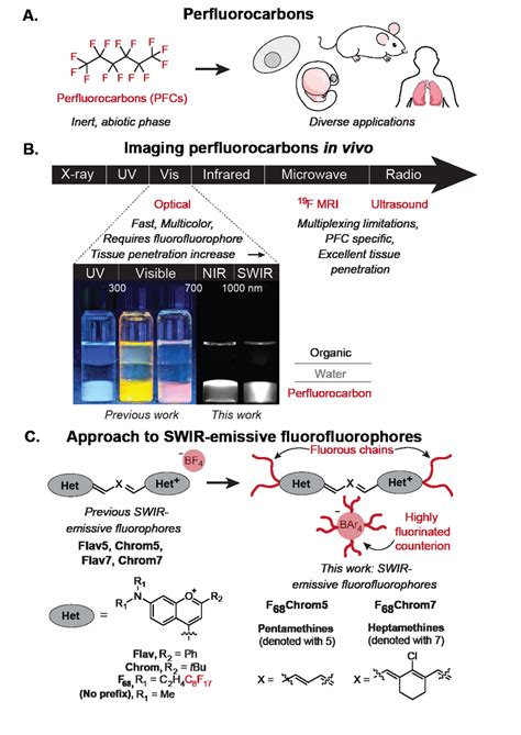 Perfluorocarbons and methods to visualize them. A) Perfluorocarbons and ...