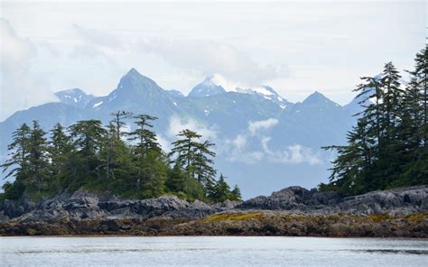 Sitka Wildlife Adventures | Wildlife Tours, Whale Watching Sitka, Alaska - Sitka Wildlife Adventures