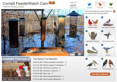 Cornell Feeders Live Final Report : Bird Cams Lab