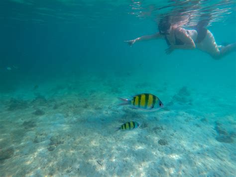 Koh Kradan snorkeling-2.jpg | DCIM\100GOPRO\GOPR0639.JPG | Flickr