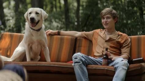 Dog Gone Cast: Where You've Seen The Stars Of Netflix's New Dog Movie | Cinemablend