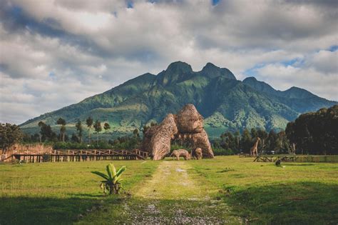 History of Volcanoes National Park | Rwanda Safari Tours