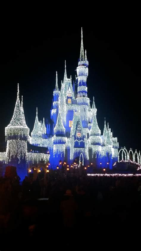 Disney castle at night during holiday season : r/pics