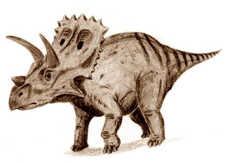 Arrhinoceratops Pictures & Facts - The Dinosaur Database