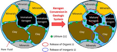 A conceptual diagram of kerogen-bearing formation in pore-scale that... | Download Scientific ...