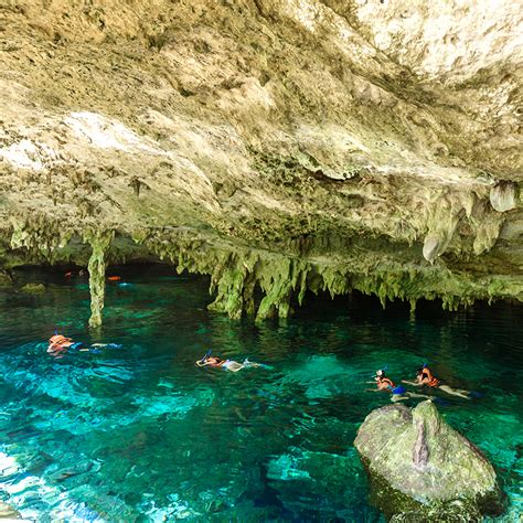 Snorkeling Dos Ojos Cenote or Cozumel • Expert Guides • Book Now • Blue Life