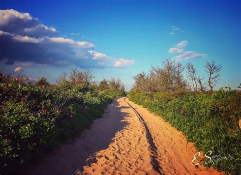 Secret Beaches in Westerly - WESTERLY RI