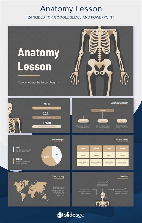 Anatomy Slides Template