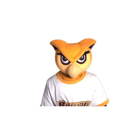 Ncaa Mascot Sticker by Rowan University for iOS & Android | GIPHY