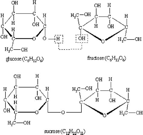 Structural formula of the sucrose (glucose+fructose). | Download ...