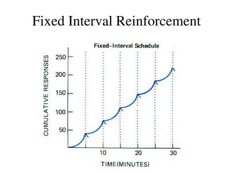 PPT - Reinforcement Schedules PowerPoint Presentation, free download - ID:747743