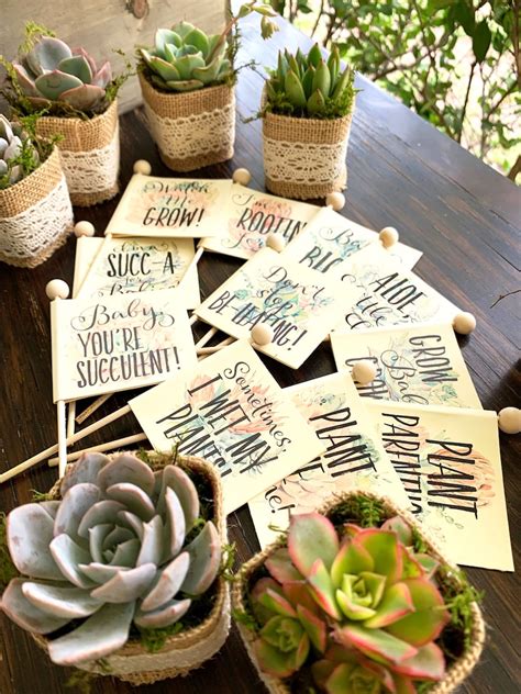 25 Baby Shower Favors Succulents With Personalized Funny Pun - Etsy