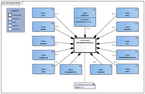 ChecklistPainBehavior-v1.0(2018EN) - Zorginformatiebouwstenen