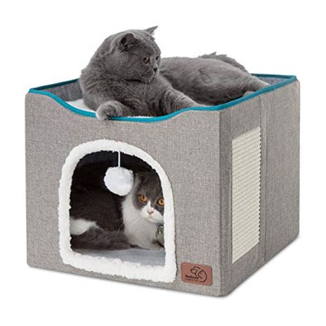 40 Best cat houses for indoor cats 2022 - After 153 hours of research ...