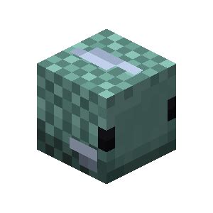 Future Calories Talisman | Hypixel SkyBlock Wiki | Fandom