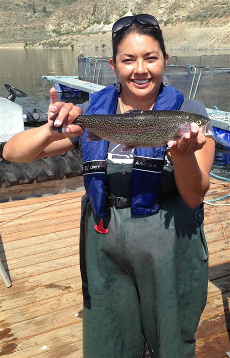 50,000 trout released in Rufus Woods Lake | Grand Coulee Dam Visitors Guide