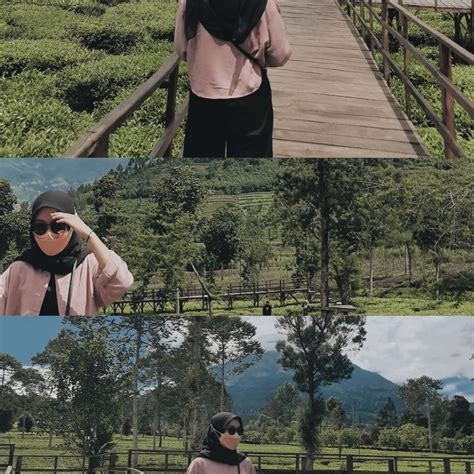 📍kebun teh tambi Wonosobo