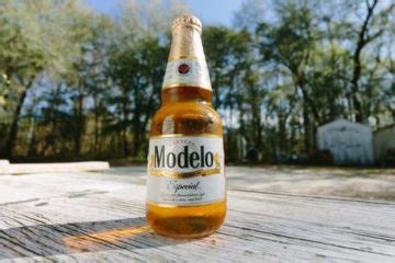 Modelo Alcohol Content And A Few Other Interesting Facts About It