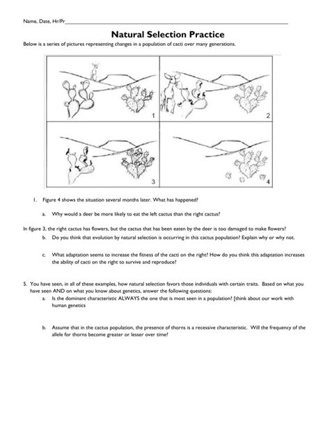 Natural Selection Worksheets Grade 3