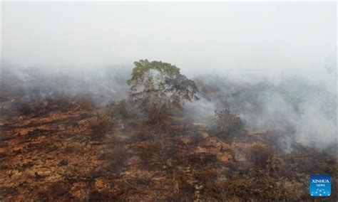 Smoke of peatland fire seen in village in Indonesia - Global Times