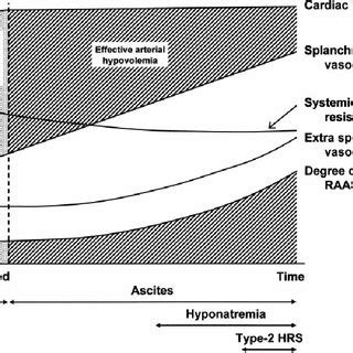 Peripheral vasodilation hypothesis (top graph) and modified peripheral ...