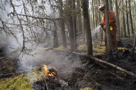 Saskatchewan issues fire ban for some provincial parks and northern ...