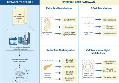 A summary of metabolites and pathways found to be altered across... | Download Scientific Diagram